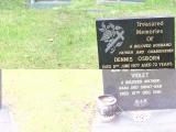 image of grave number 301335
